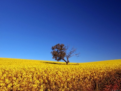 Key asset locksmith automotive tools